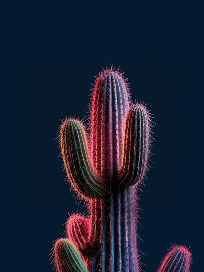 Neon Cactus Botanical Print. poster
