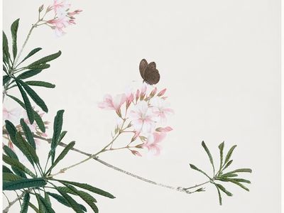 Nymphaea lotus, Japanese woodblock art.