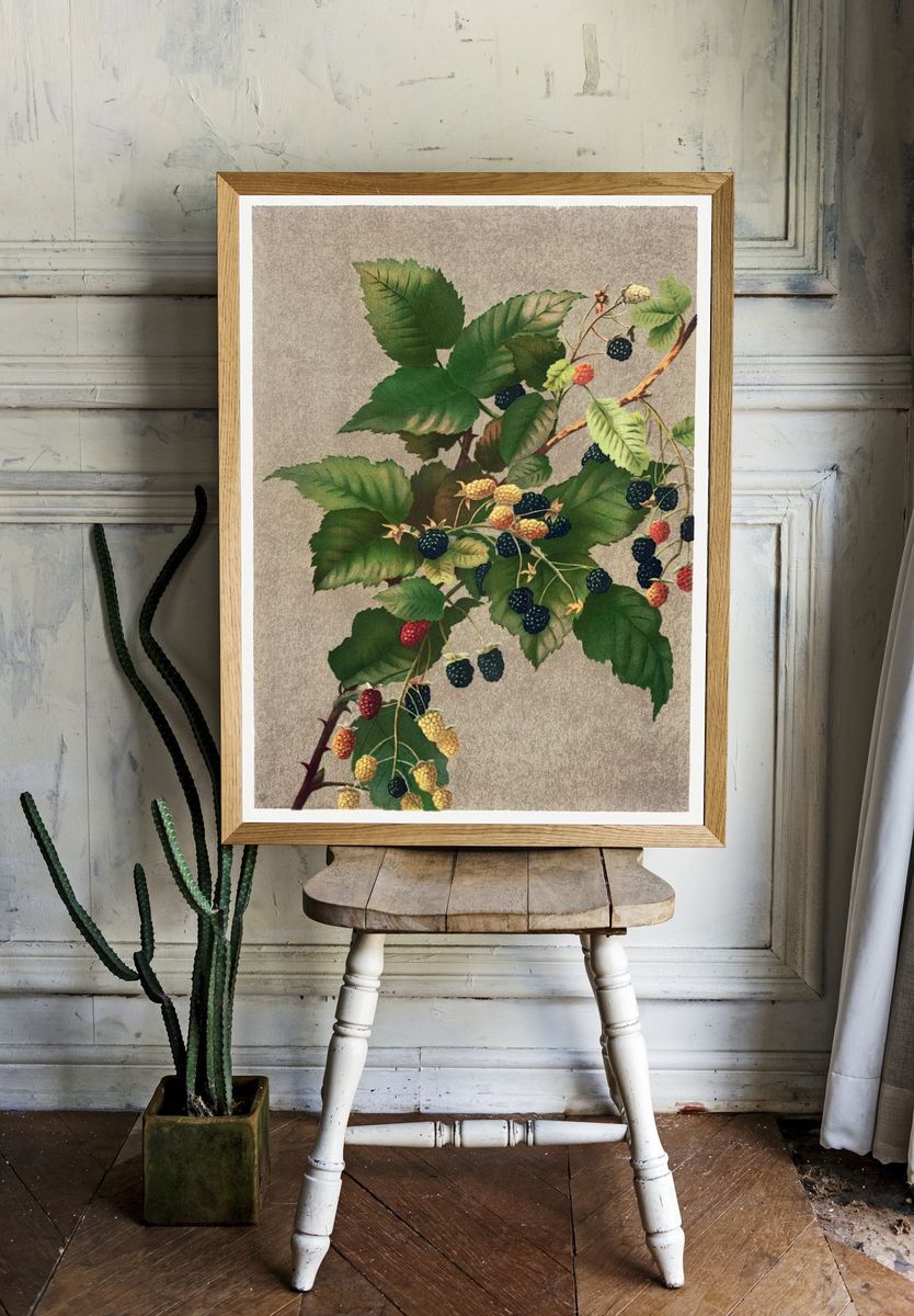Blackberries (1887) high resolution L. — room view 1