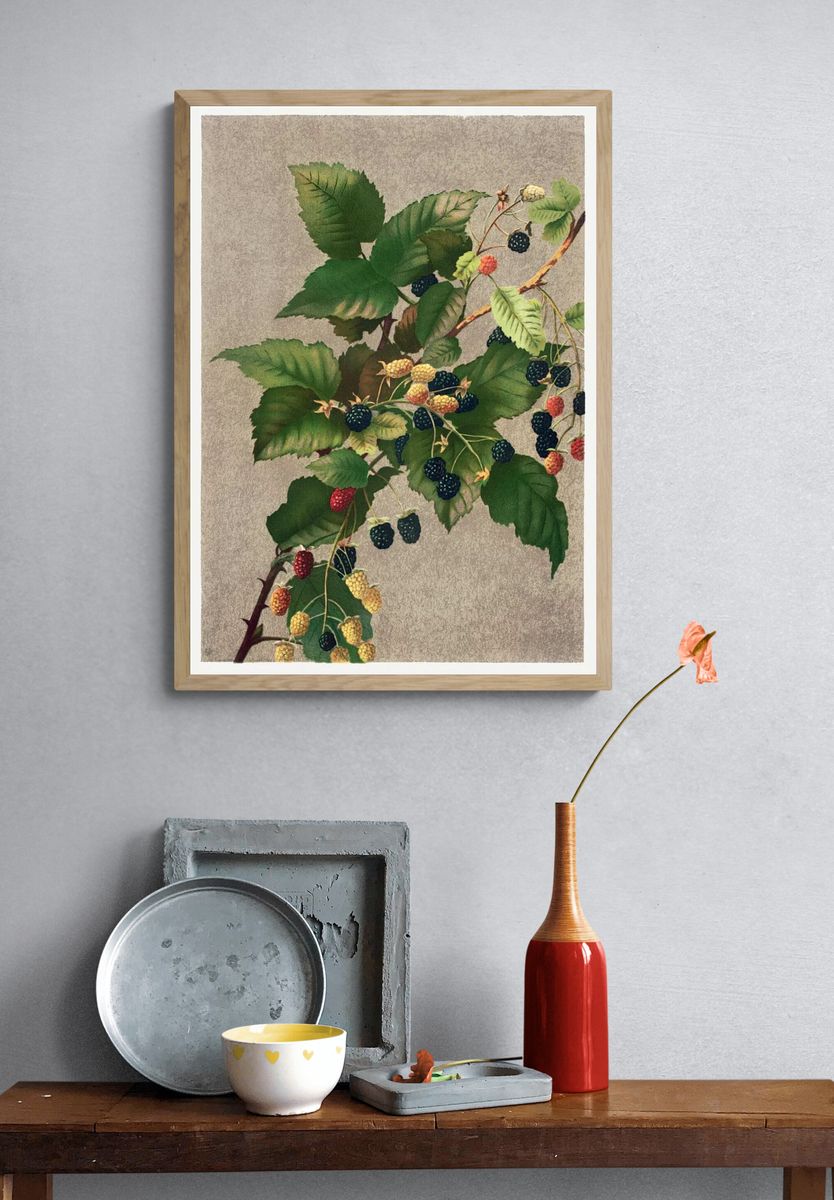 Blackberries (1887) high resolution L. — room view 3