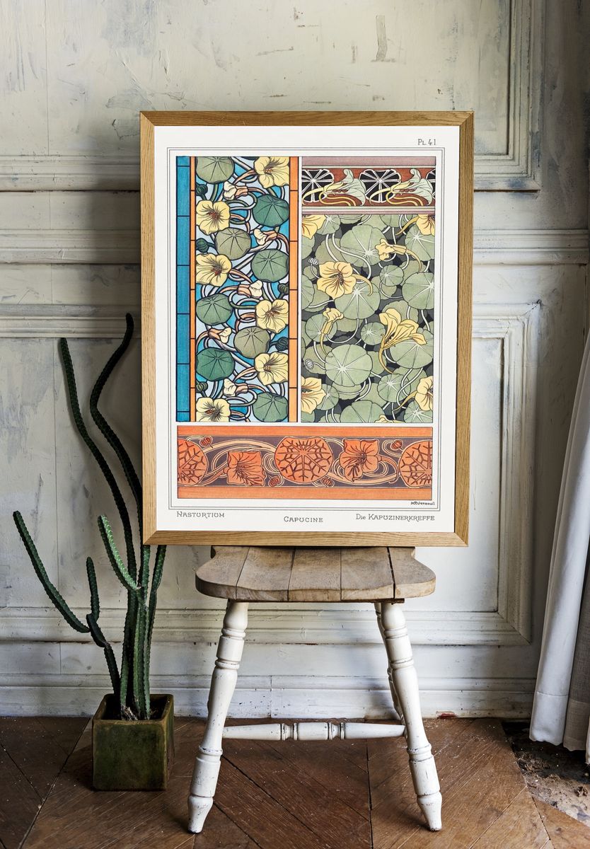 Capucine (nasturtium) La Plante et. room preview