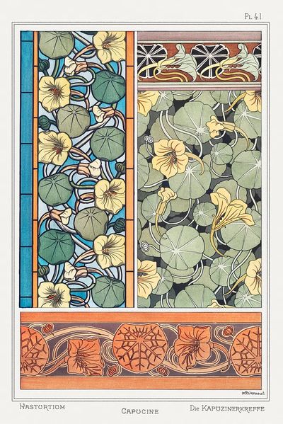 Capucine (nasturtium) La Plante et. poster print