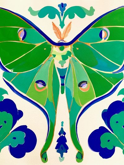 Moth Botanical Illustration Poster.