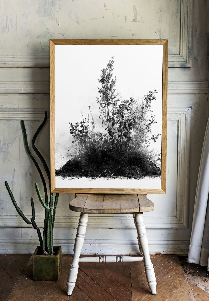 Botanical Ink Study Poster. room preview