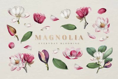 Floral Collage Vintage Print. poster print