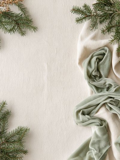 Winter Evergreen Still Life Print. poster