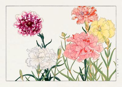 Carnation flower, Japanese woodblock art. poster print