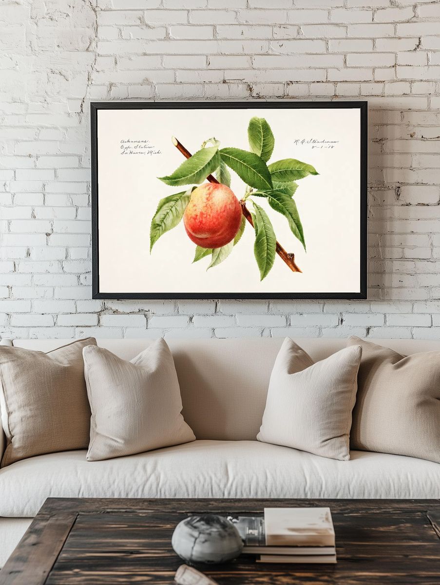 Peach bough (Prunus Persica) (1918). — room view 1