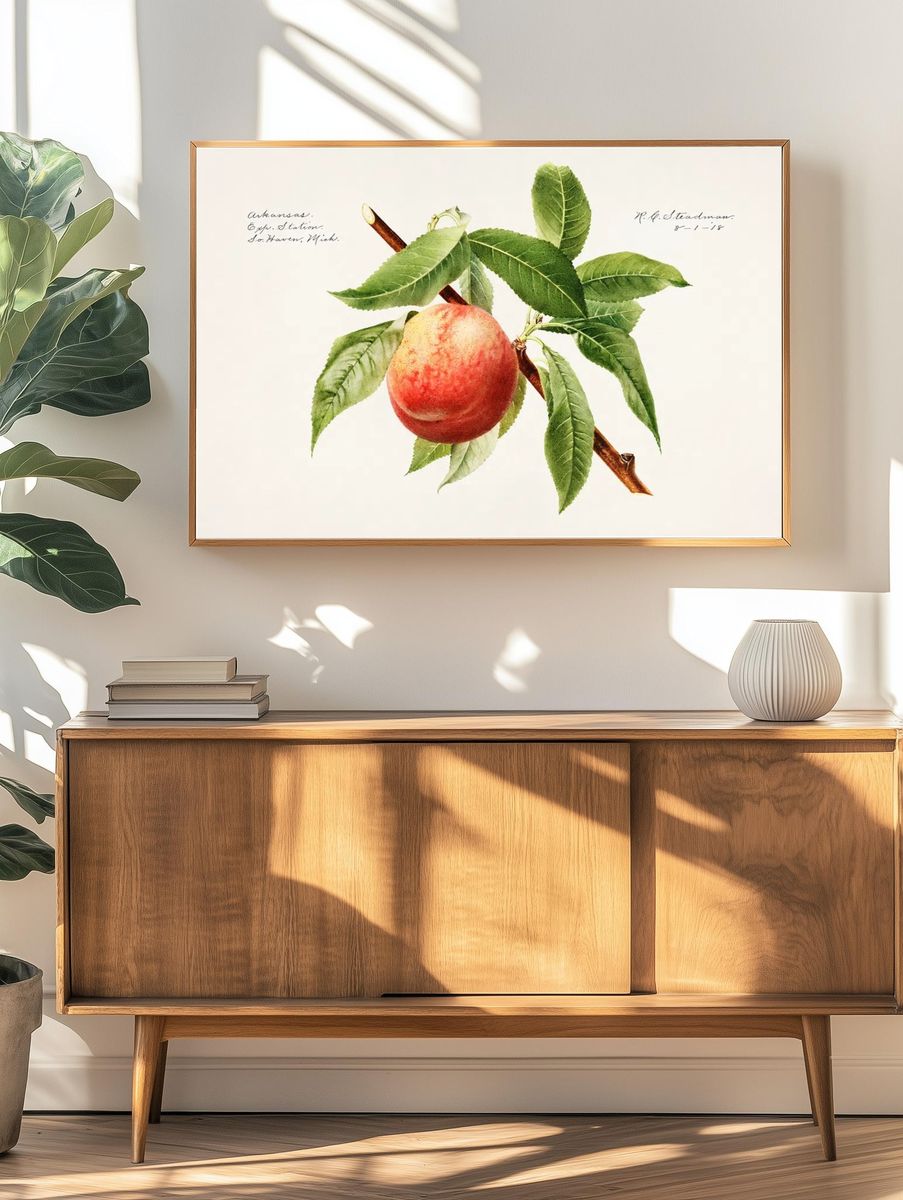 Peach bough (Prunus Persica) (1918). — room view 3