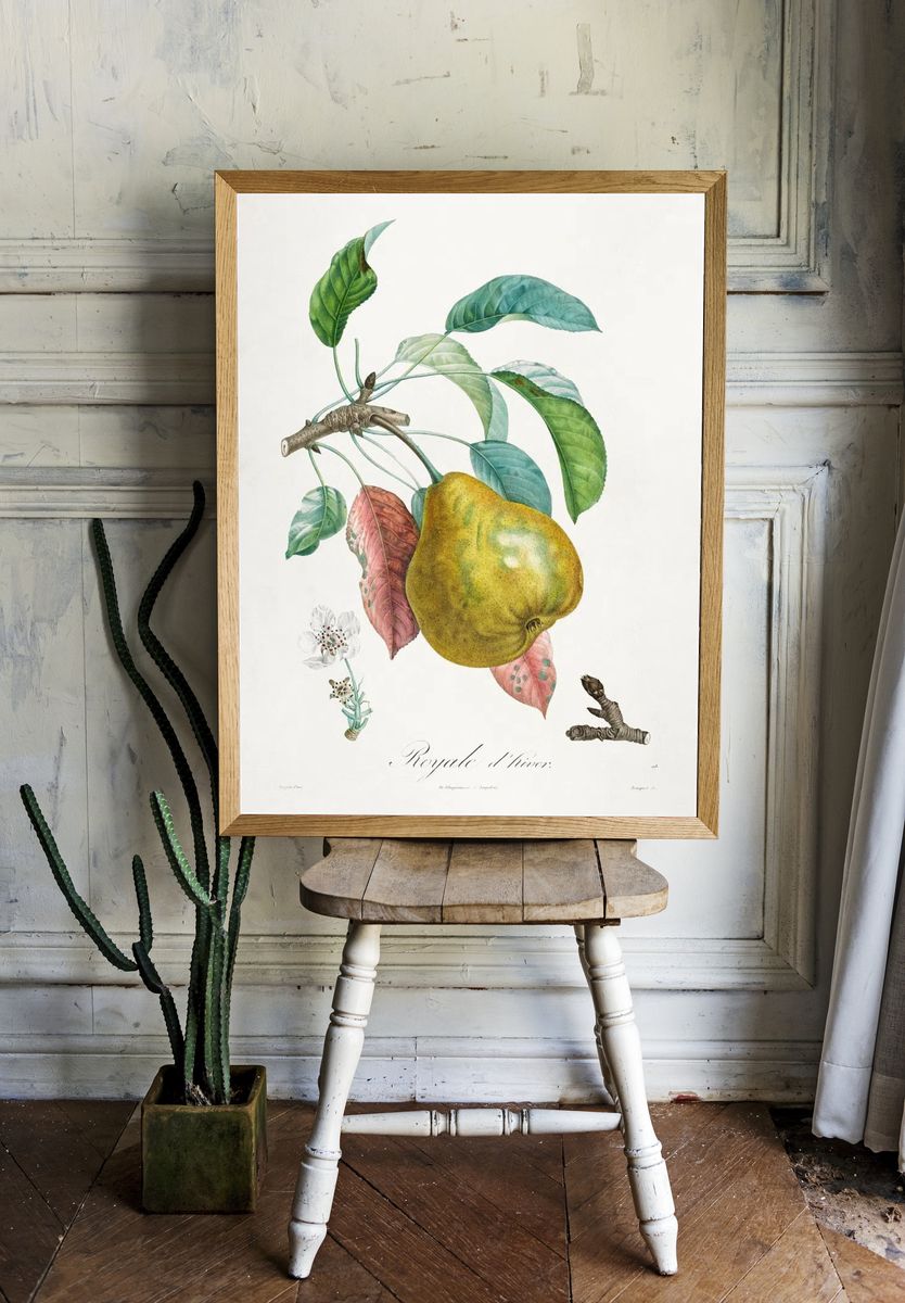 Traité des arbres fruitiers: Royal. — room view 1
