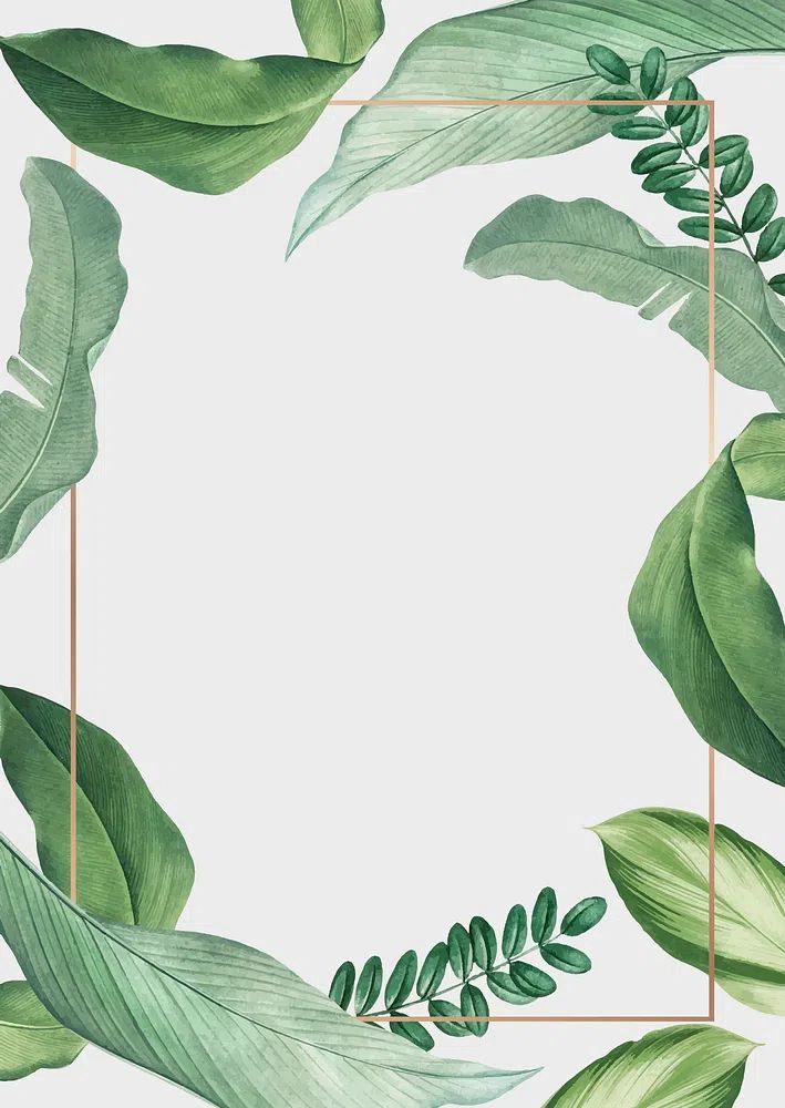 Hand drawn tropical leaves white. poster — botanical art