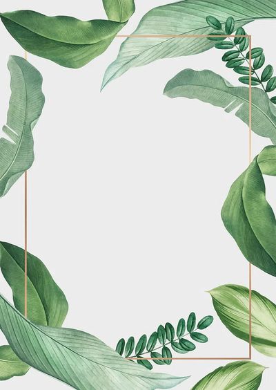 Hand drawn tropical leaves white.