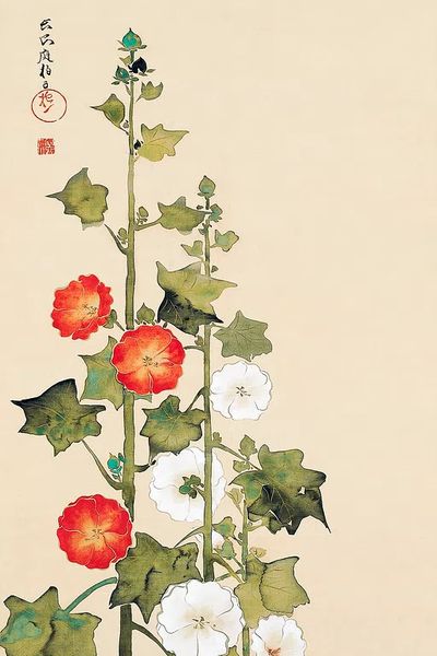 Japanese hollyhock flowers (1801) vintage.