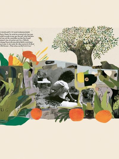 Botanical Collage Illustration Poster. poster
