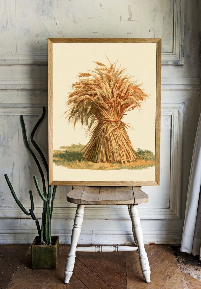 Wheat Sheaf Botanical Print. room preview