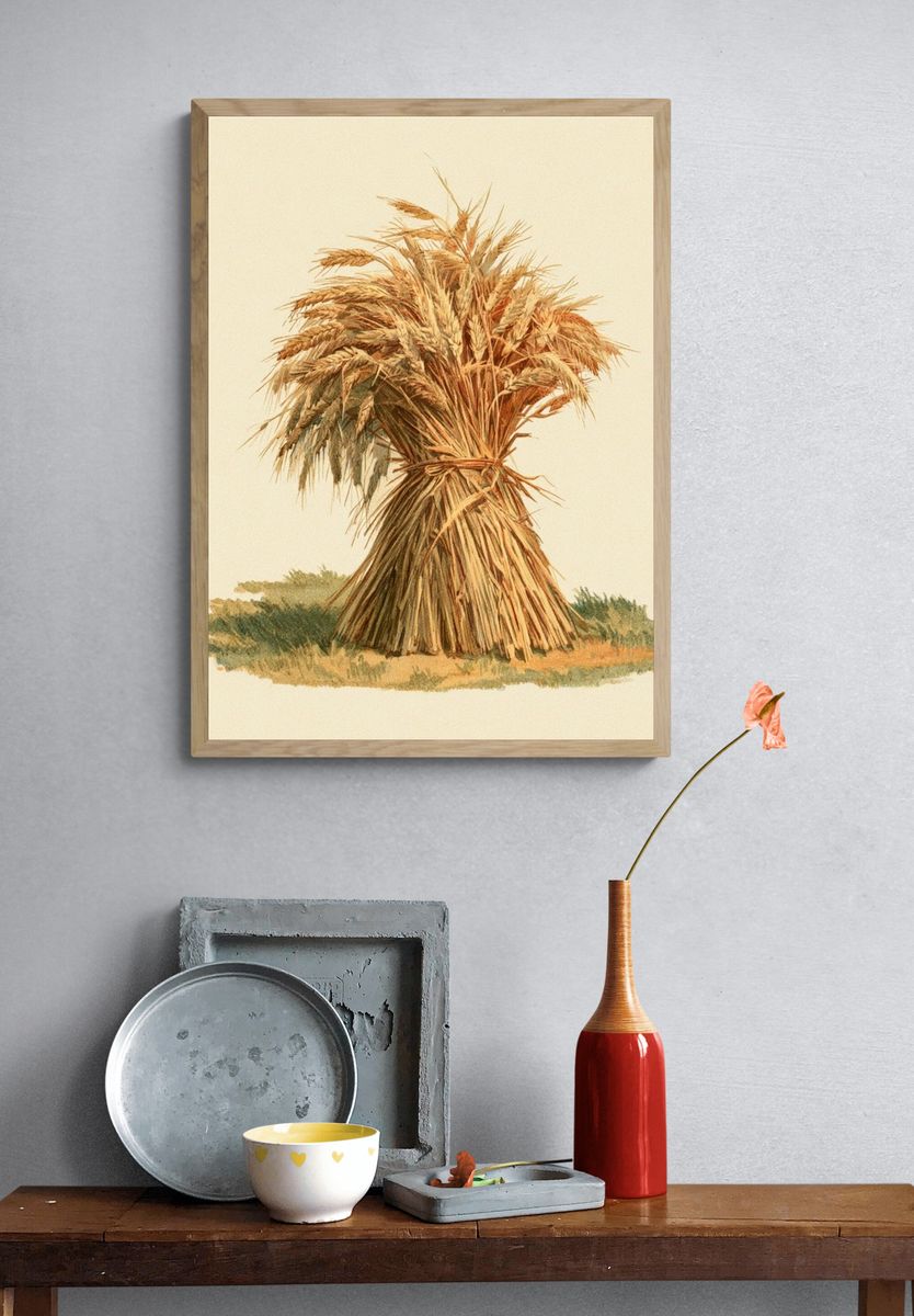Wheat Sheaf Botanical Print. — room view 3