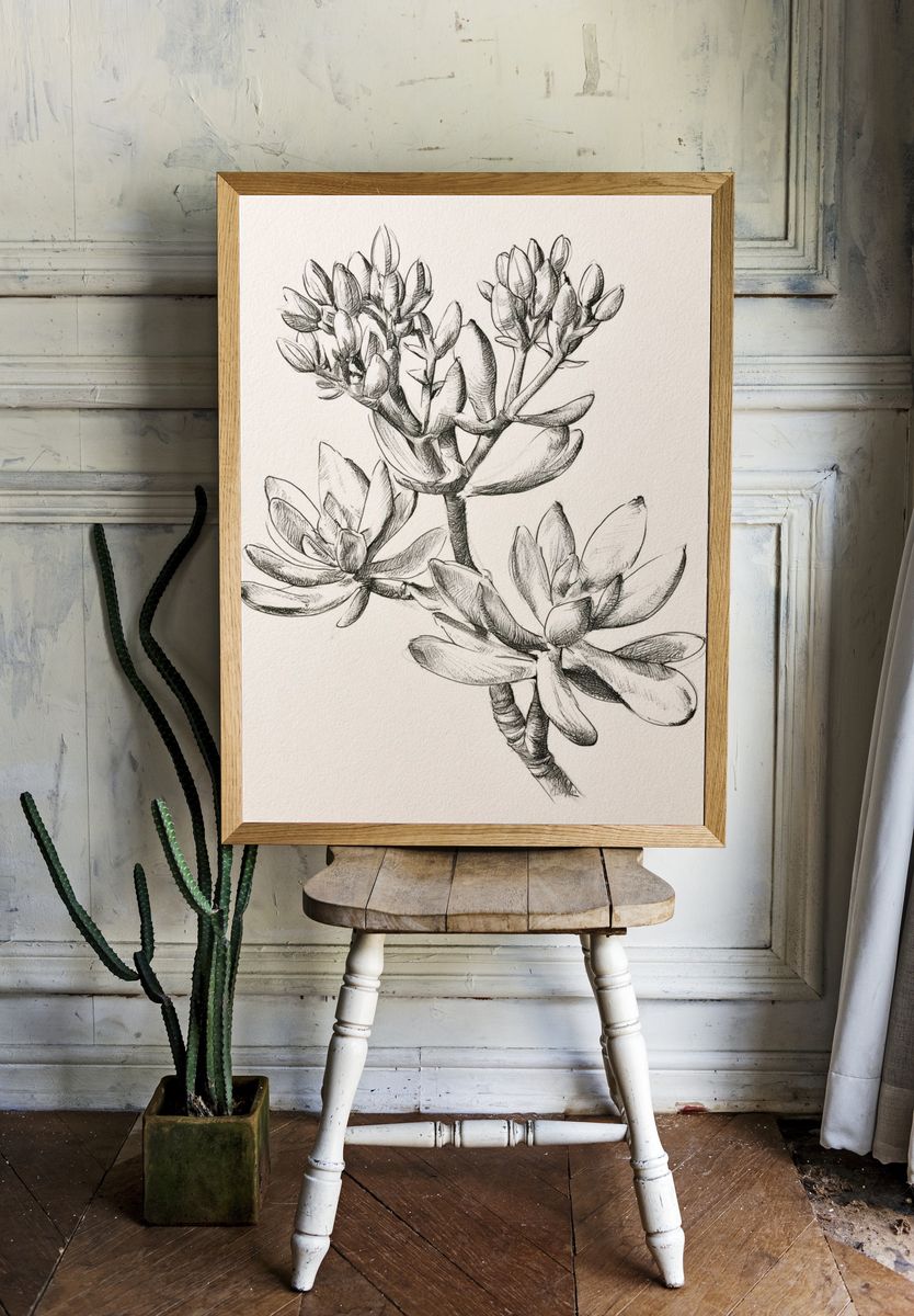 Succulent Botanical Sketch Poster. room preview