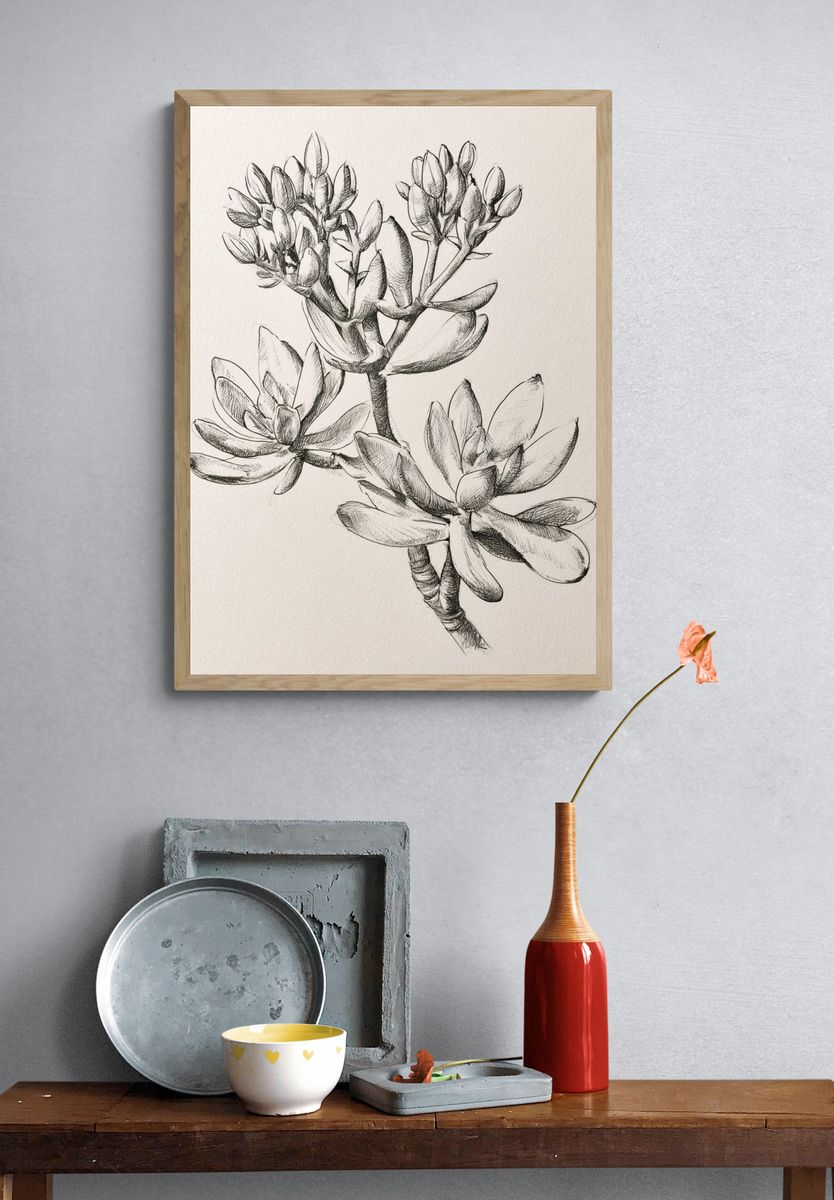 Succulent Botanical Sketch Poster. — room view 3