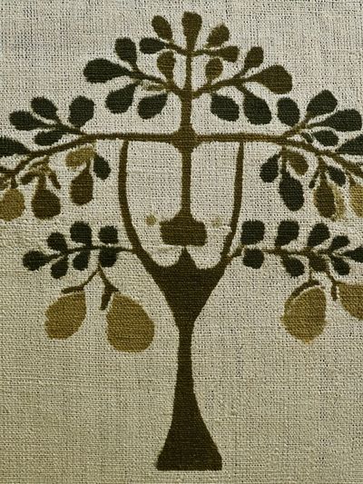 Olive Tree Botanical Print. poster