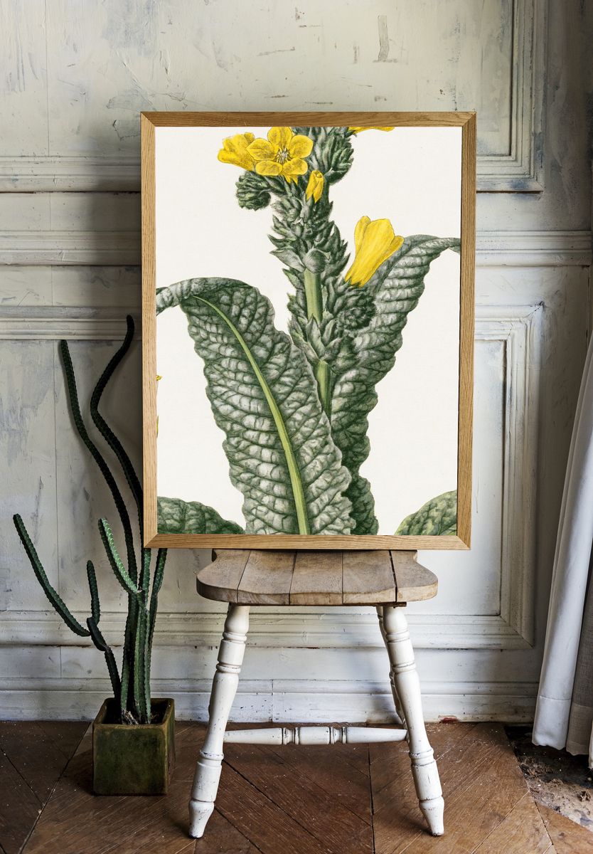 Yellow Flower Botanical Print. room preview