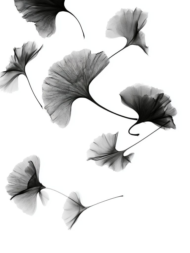 Ginkgo Leaves Black-White Print. poster detail
