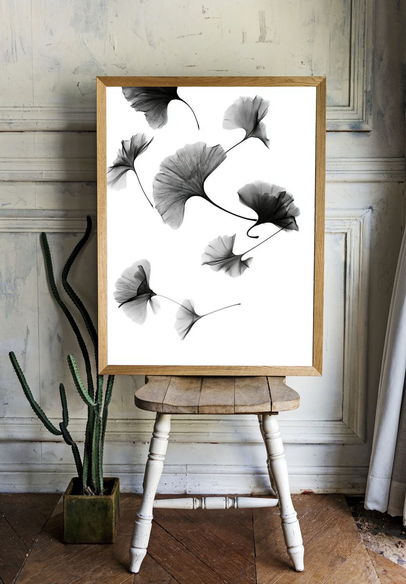 Ginkgo Leaves Black-White Print. — room view 1