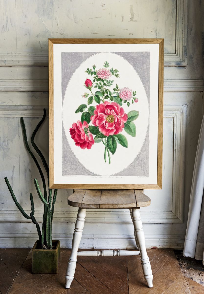 Damask Rose (1787) high resolution. room preview