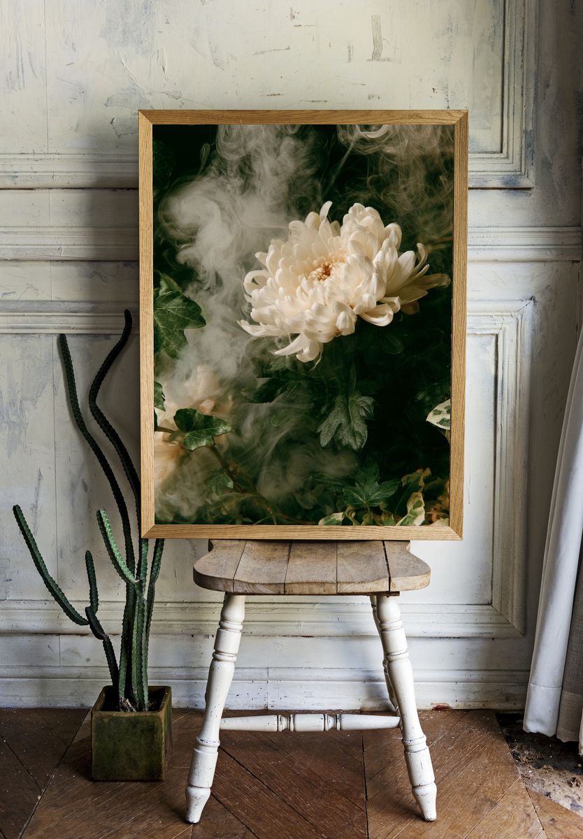 White Chrysanthemum Botanical Print. room preview