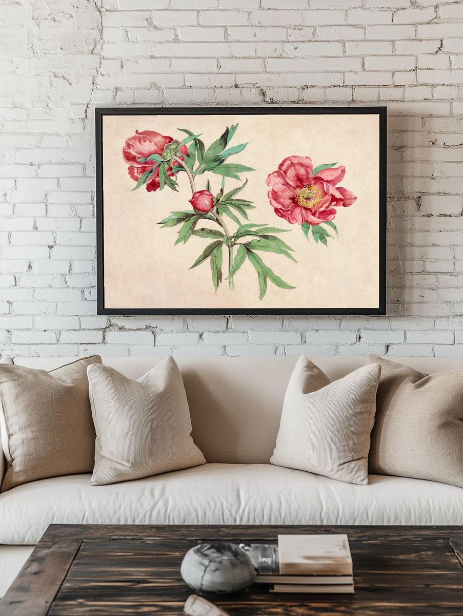 Studies Peonies (1472-1473) painting high room preview