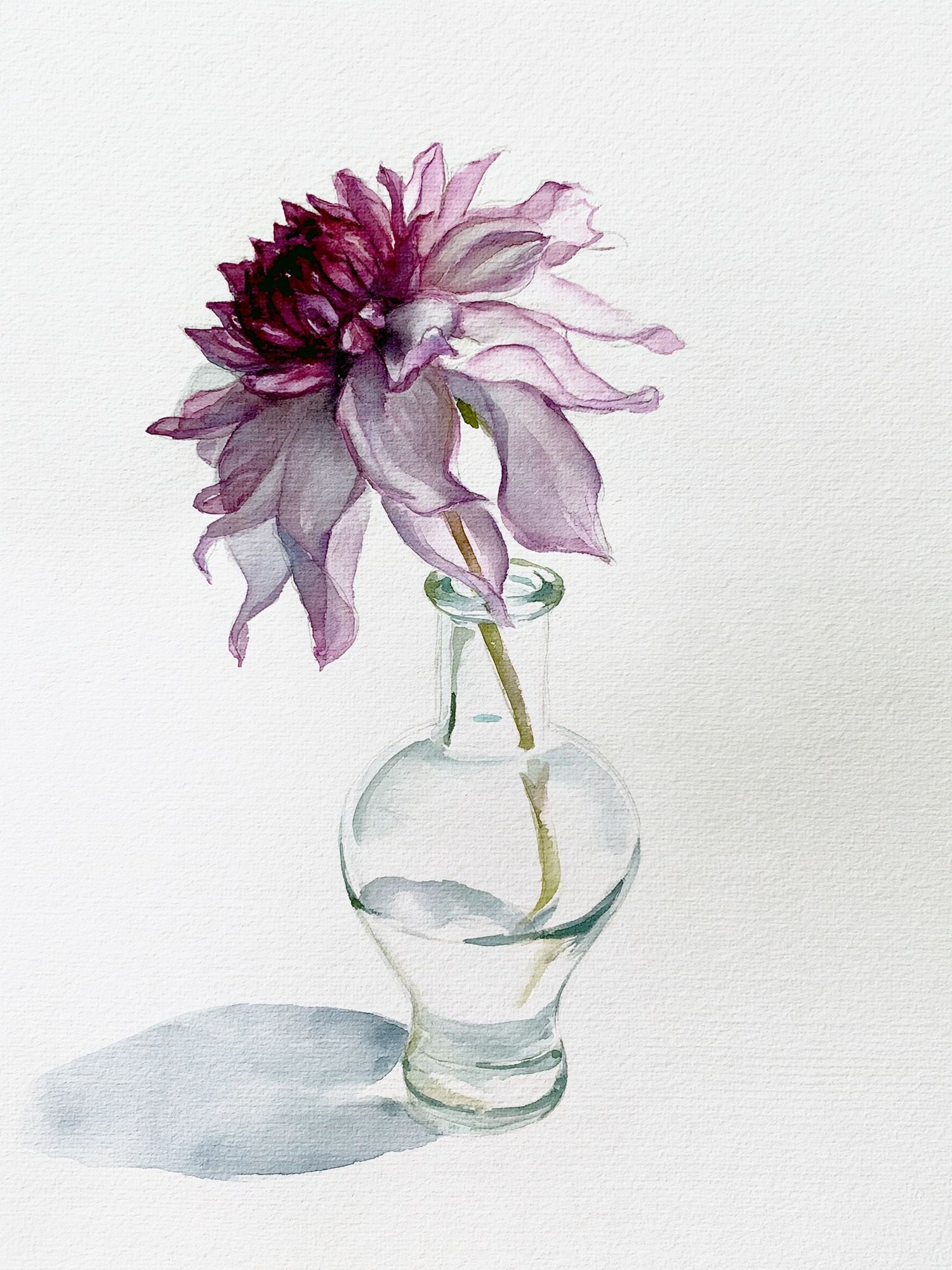 Purple Dahlia Watercolor Print. poster detail