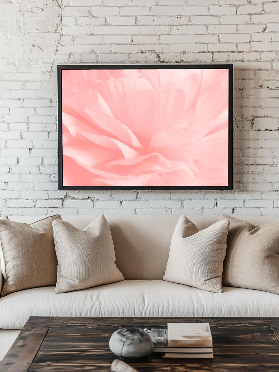 Pink ranunculus flower macro photography. — room view 1