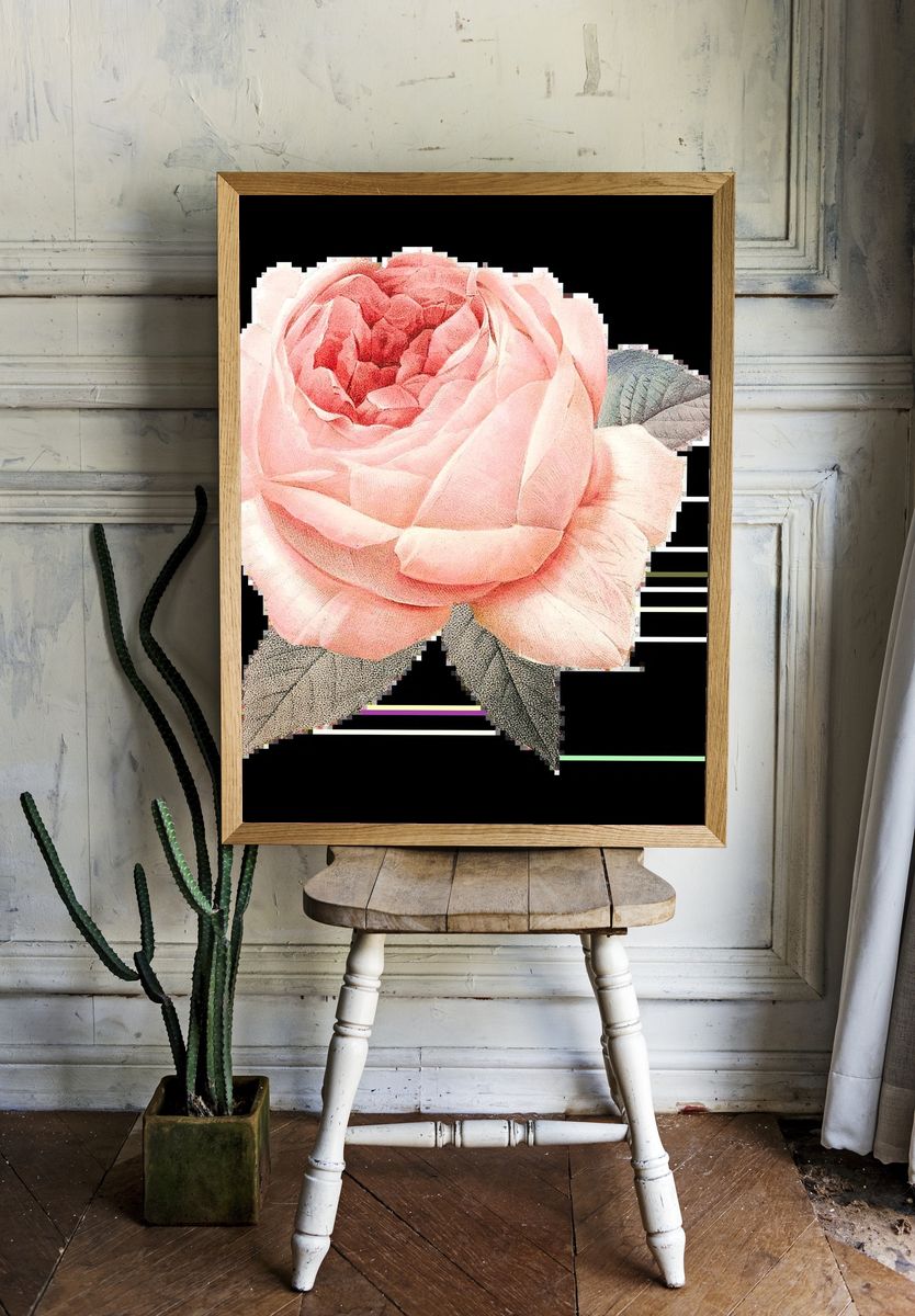 Floral Rose Border Illustration Poster. room preview