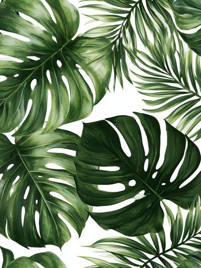 Tropical Monstera Leaves Print. poster