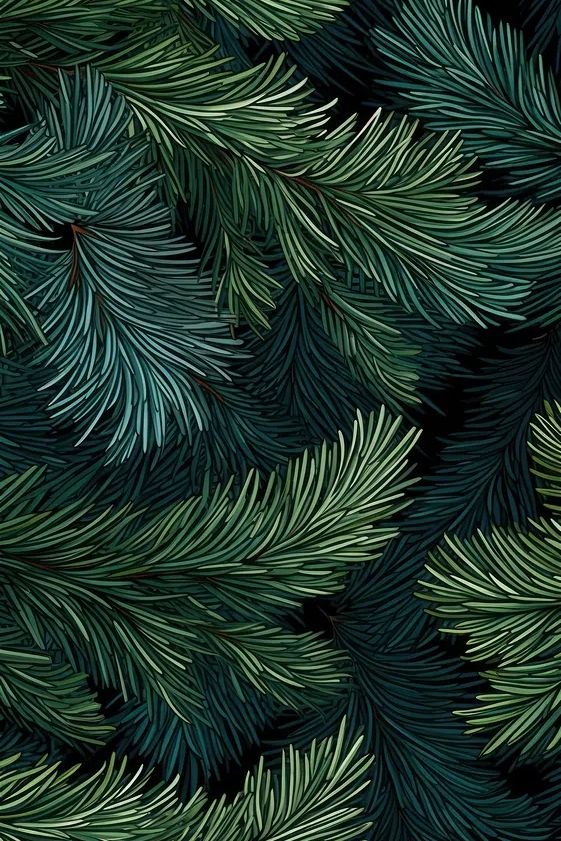 Pine Branches — Botanical Print. poster detail