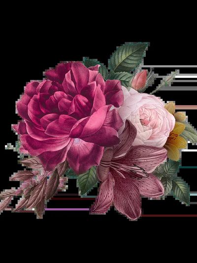Beautiful hand drawn pink roses. poster print