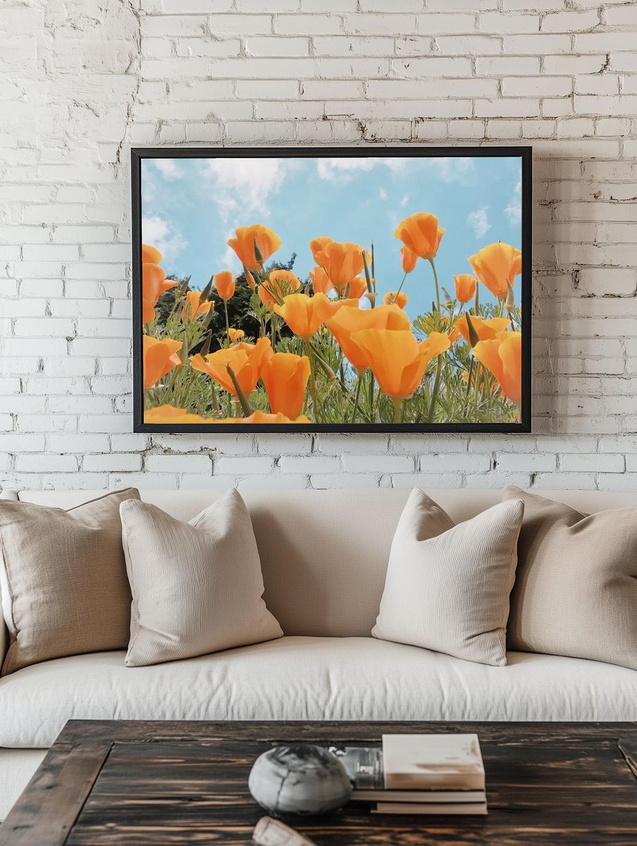 Spring background orange flowers field. room preview
