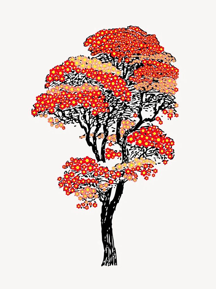 Japanese autumn tree color drawing. poster — botanical art
