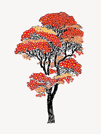 Japanese autumn tree color drawing. poster print