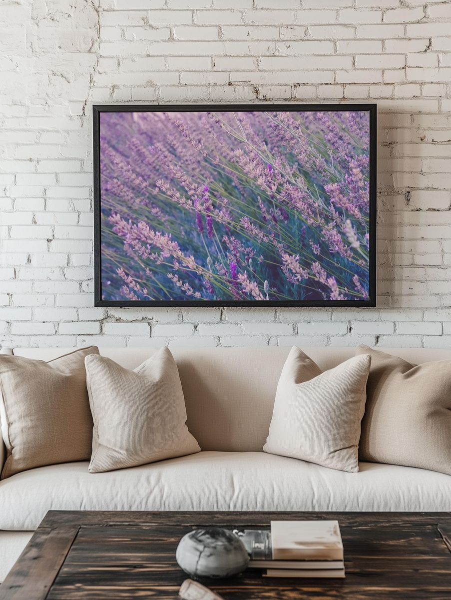 Tall lavender plants swaying wind. — room view 1