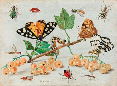 Insects Fruits (1660–1665) Jan van. poster