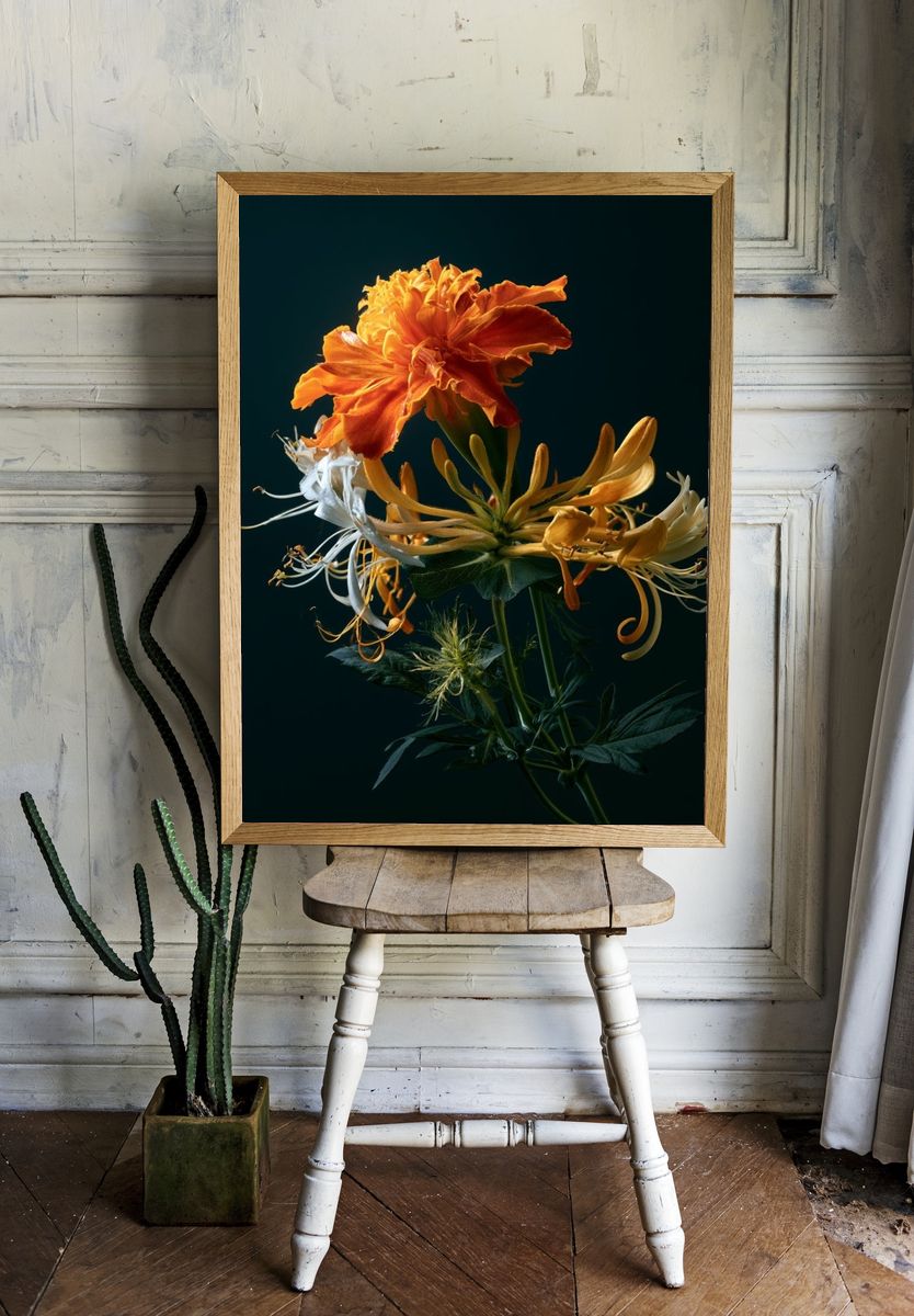 Orange Bloom Botanical Print. — room view 1