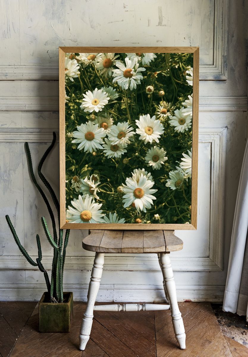 Wild Daisy Meadow Botanical Print. room preview