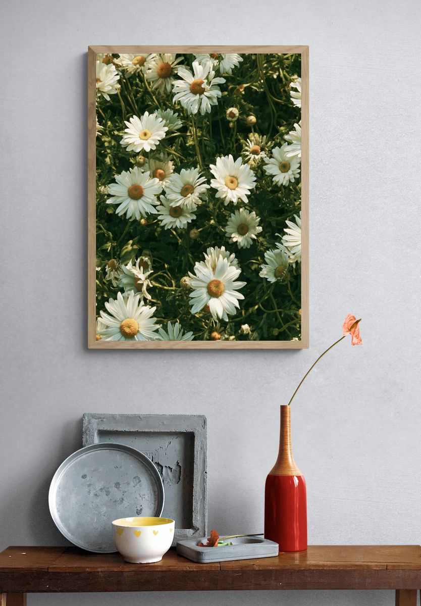 Wild Daisy Meadow Botanical Print. — room view 3