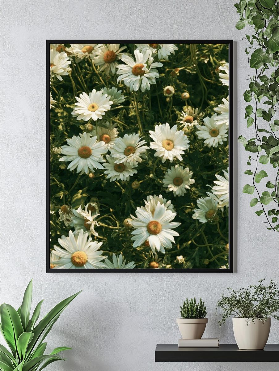 Wild Daisy Meadow Botanical Print. — room view 4