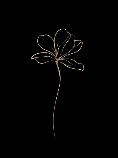 Minimal Line Flower Print.