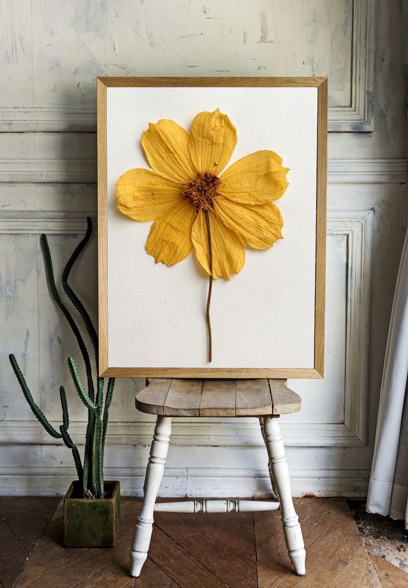 Pressed Yellow Flower Botanical Print. — room view 1