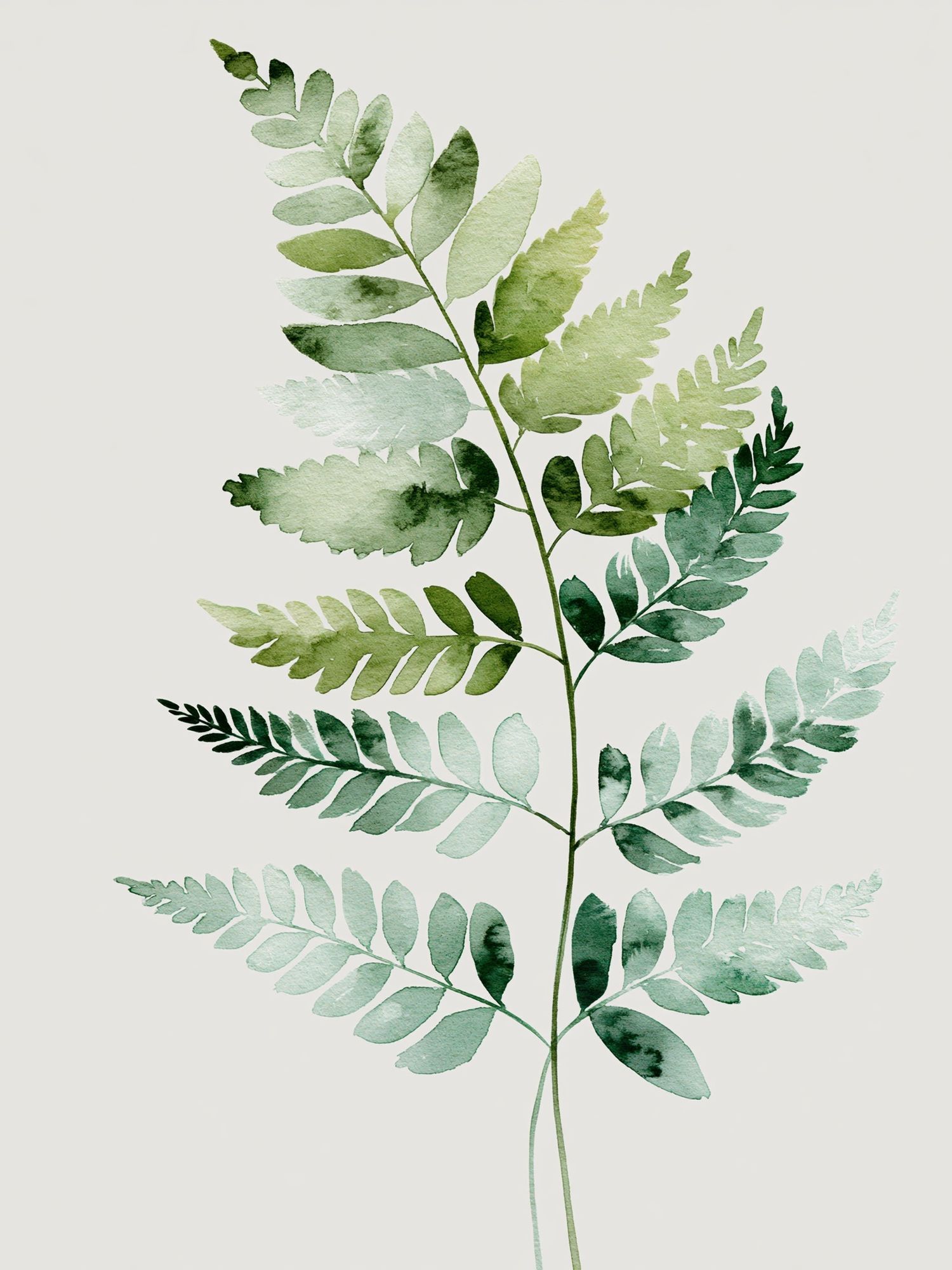 Watercolor Fern Botanical Poster. poster detail
