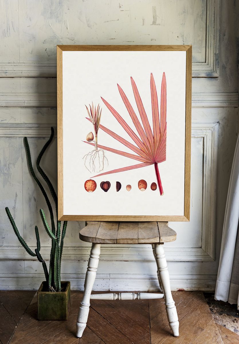 Hand drawn red latan palm. — room view 1
