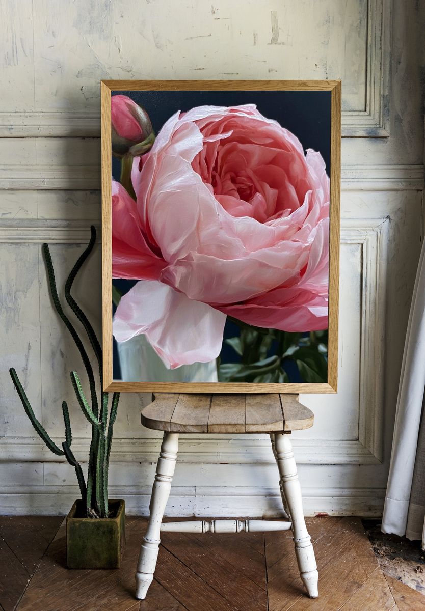 Pink Peony Bloom Botanical Print. — room view 1