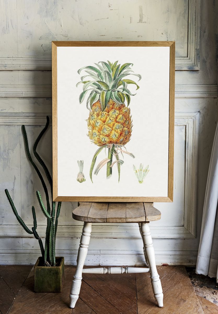 Hand drawn pineapple. Original Biodiversity. — room view 1